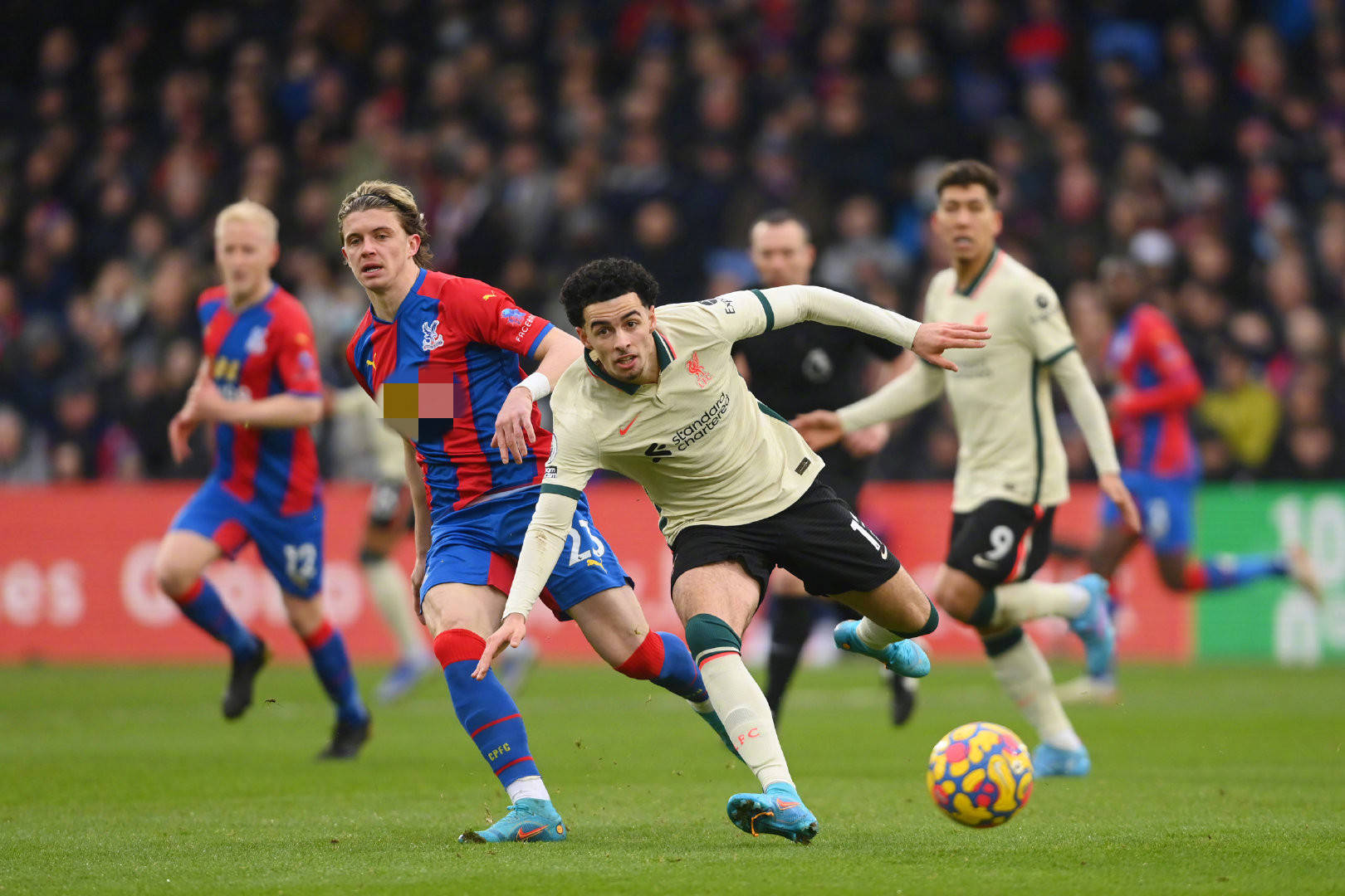 在他的指导 在他的指导